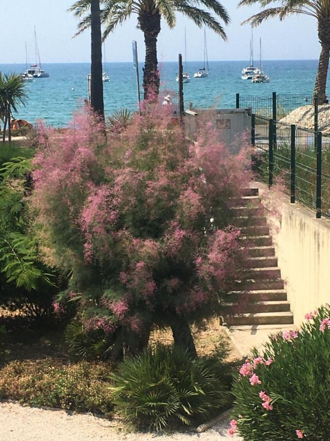 Appartement C'est la vie à Sanary-sur-Mer Extérieur photo